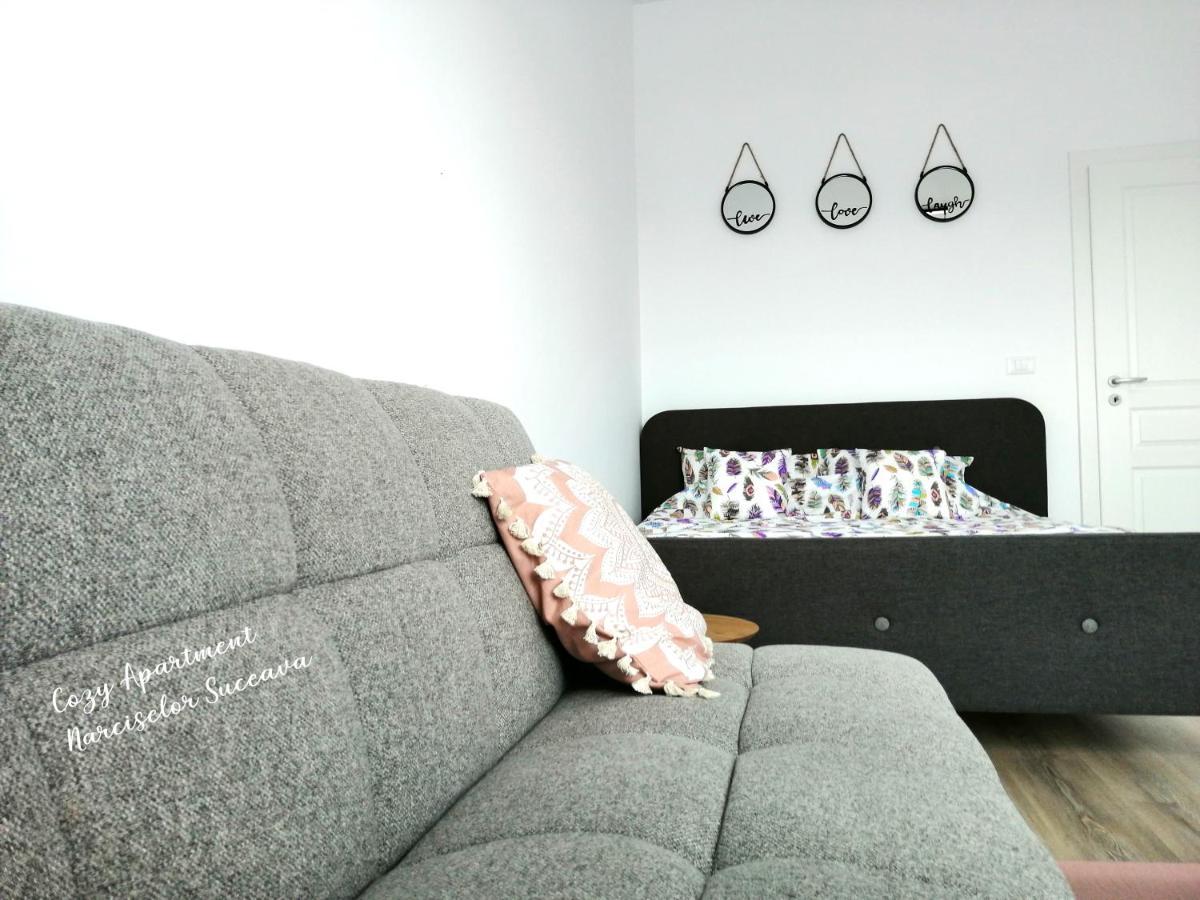 Cozy Apartment Narciselor Suceava Ipotesti  Экстерьер фото