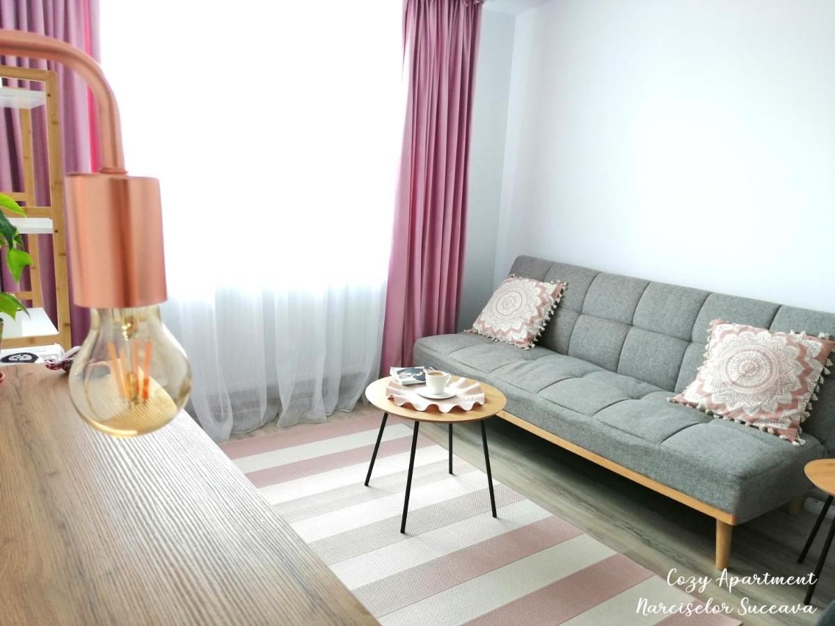Cozy Apartment Narciselor Suceava Ipotesti  Экстерьер фото